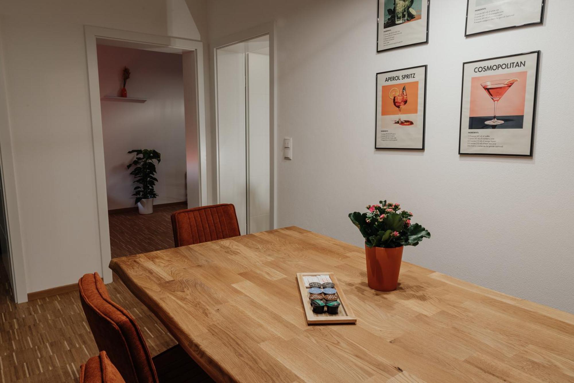 Passaus Motto Appartements! Solo - Paerchen - Familien - Gruppen Room photo
